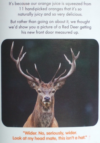 innocent-deer