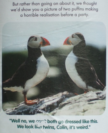 innocent-puffins